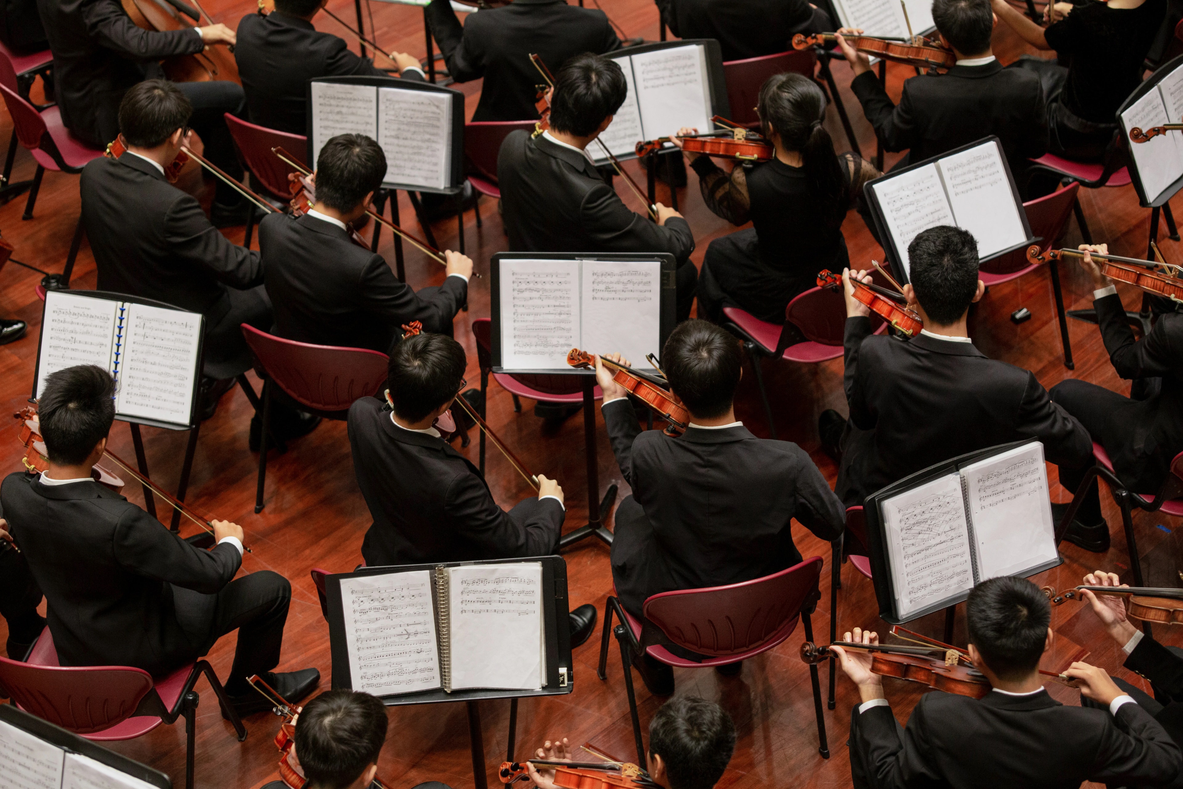 Violin Orchestra